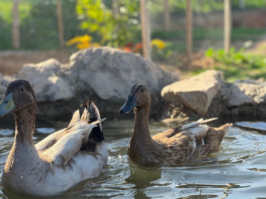 Murcia, Astronomy Night in Finca Astronomica - Exploring the Finca and Its Surroundings