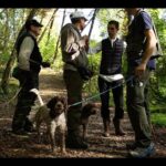 Mushroom or Truffle Hunting - Meet Chef Luigi and the Truffle-Hunting Dog Near Bellagio