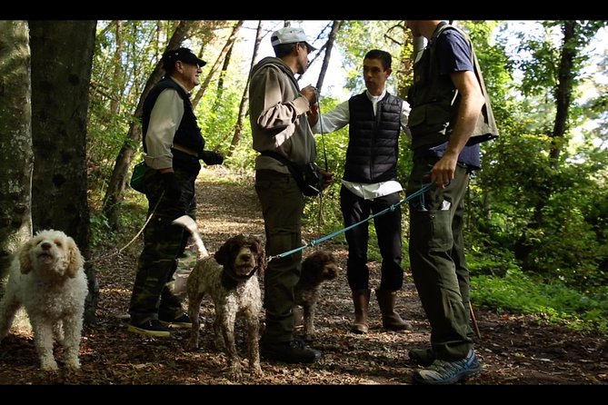 Mushroom or Truffle Hunting - Meet Chef Luigi and the Truffle-Hunting Dog Near Bellagio
