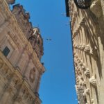 Must see Salamanca Walking Tour (could be billingual) - Visiting the Palacio de Anaya and Its Significance
