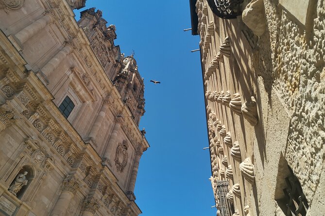 Must see Salamanca Walking Tour (could be billingual) - Visiting the Palacio de Anaya and Its Significance