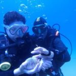 My first scuba dive in the Ocean from Madeira - The Location: Garajau Marine Reserve’s Unique Underwater Environment