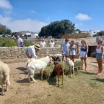 Mykonos Highlights Tour - Discovering Ano Mera and the Panagia Tourliani Monastery