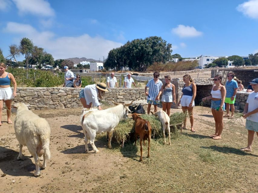 Mykonos Highlights Tour - Discovering Ano Mera and the Panagia Tourliani Monastery