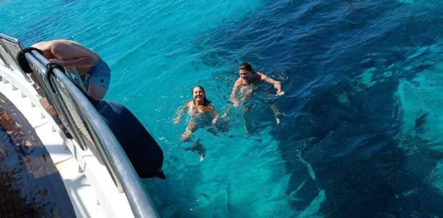 Mykonos: Little Venice and Agios Stefanos Cruise with Lunch - Logistical Details and Meeting Point