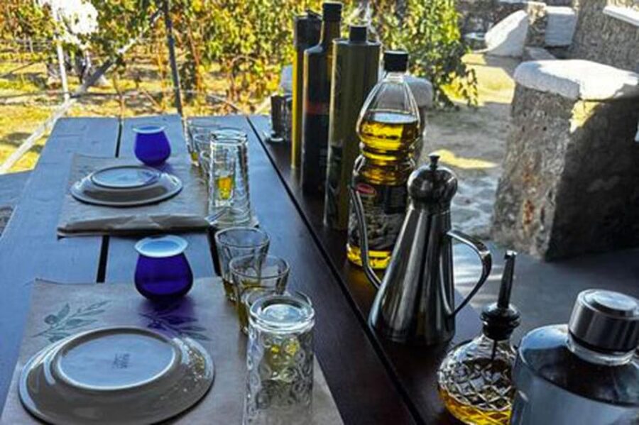 Mykonos: Olive Oil Tasting Experience - The Guided Tour of the Mykonian Spiti Traditional Farm