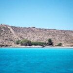 Mykonos: Private Delos and Rhenia 6hrs Cruise with Lunch - Exploring the Archaeological Site of Delos