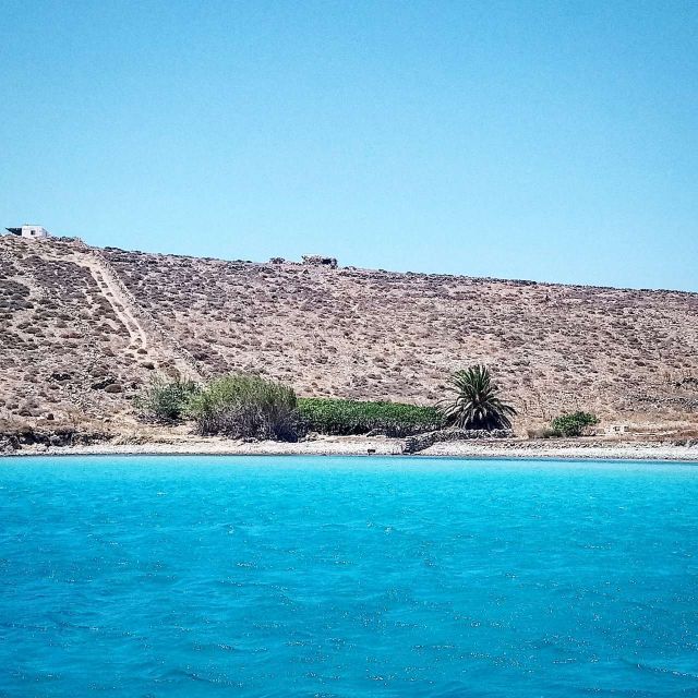 Mykonos: Private Delos and Rhenia 6hrs Cruise with Lunch - Exploring the Archaeological Site of Delos