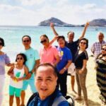 Mykonos: Shore Excursion with Cruise Ship Terminal Pickup - Visiting Armenistis Lighthouse for Panoramic Views