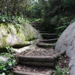 Mysteries of Sintra: Exploration Game and Tour - Exploring Sintra’s Town Hall and Its Architectural Significance