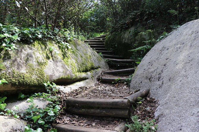 Mysteries of Sintra: Exploration Game and Tour - Exploring Sintra’s Town Hall and Its Architectural Significance
