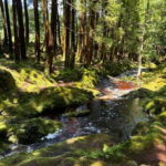 Mystery Tour of Terceira Island - The Unique Approach of the Mystery Tour