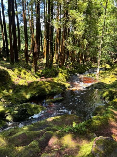 Mystery Tour of Terceira Island - The Unique Approach of the Mystery Tour