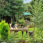 N. Ireland: Award Winning Guided Scenic Alpaca Trekking - BallyBurren Outdoor Escapes: The Starting Point and Facilities