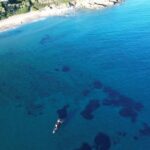 Naousa: Rineia, Delos, & Naxos Day Trip by Boat with Drinks - Exploring Rineia Island’s Hidden Coves and Rock Formations