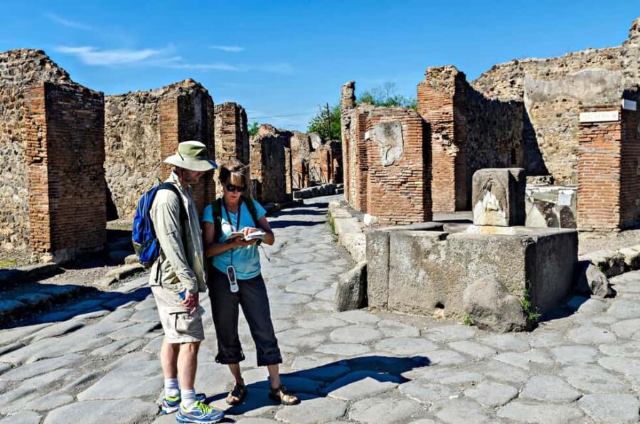 Naples: Pompeii Guided Tour with Skip-the-Line Entry Ticket - Priority Access with Skip-the-Line Tickets at Pompeii
