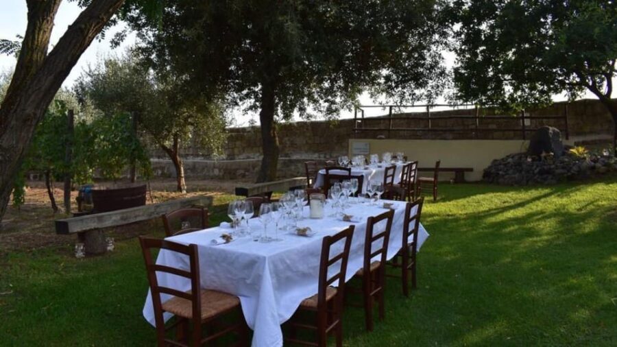 Naples: winery tour & wine tasting on Astroni crater - Starting Point and Meeting Arrangements at Via Sartania