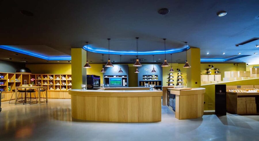 Narbonne : Guided Tour of the Château l'Hospitalet & Tasting - Visiting the Château and Vineyard Paths