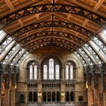 Natural History Museum London - Exclusive Guided Museum Tour - How the Guide Enhances the Experience