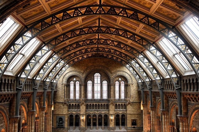 Natural History Museum London - Exclusive Guided Museum Tour - How the Guide Enhances the Experience
