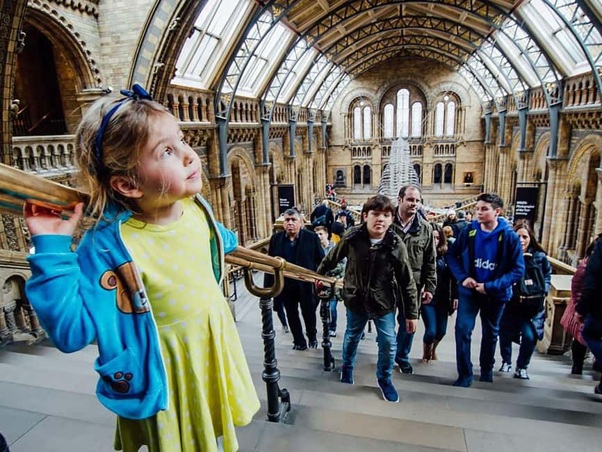 Natural Museum: Diplodocus, Volcanoes, Whale, and Gems - Meet at Exhibition Road for a Well-Orchestrated Start