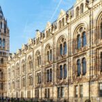 Natural Museum Tour: Volcanoes, Earthquakes, Blue Whale - Starting Point and Meeting Details in Nantes