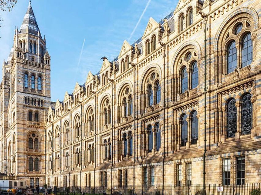 Natural Museum Tour: Volcanoes, Earthquakes, Blue Whale - Starting Point and Meeting Details in Nantes