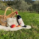 Natural Park and Picnic Experience near Florence - Key Points