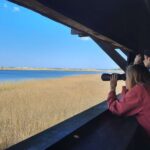 Nature Walk and Wildlife Tour in Sobieszewo Island - Detailed Itinerary and Key Stops on Sobieszewo Island