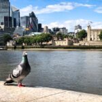 Naughty London: Unsavoury History Walking Tour - The Connection Between The Bishop of Winchester and Harry Potter