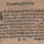 Naumburg (Saale): "Naumbierchen" beer tour - Sampling Unusual Beers from Naumburgs Historic Repertoire