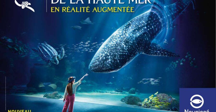 Nausicaá National Sea Center: Full-Day Entry Ticket - Marvel at 58,000 Marine Animals Across 70 Aquariums