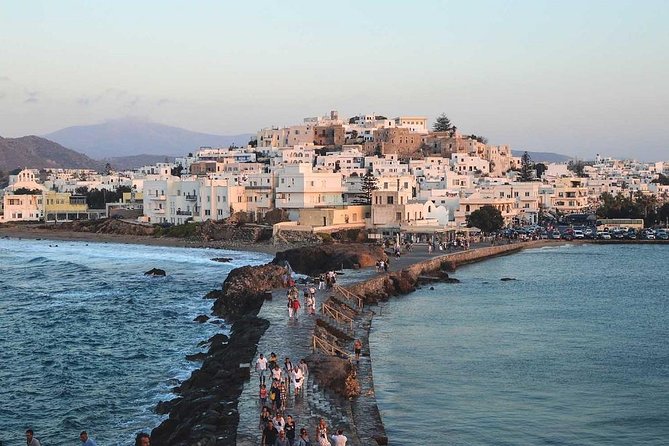 Naxos: Bus Tour Around the island - Visiting the Temple of Demeter: An Icon of Ancient Naxos