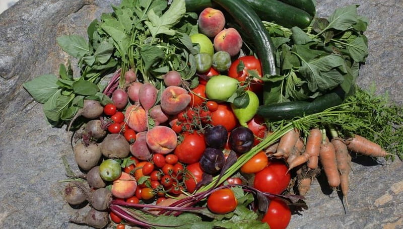 Naxos: Hands-On Cooking Class with Local Wine - The Setting at Elaiolithos: A Sustainable Hotel in Moni Village