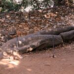 Naxos Private / Semi Private E-Bike Guided Tour Aegean Lush - Immersive Farm Experience with Cheese and Wine Tasting