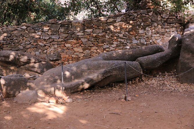 Naxos Private / Semi Private E-Bike Guided Tour Aegean Lush - Immersive Farm Experience with Cheese and Wine Tasting