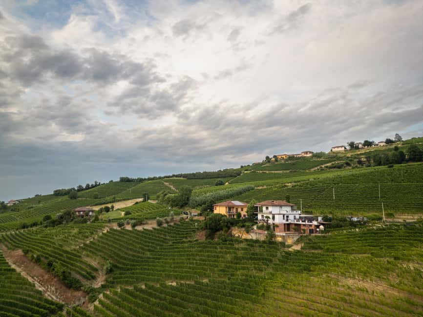 Neive: come and discover my little winery - Discovering the Small, Women-Owned Winery in Neive