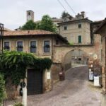 Neive: walking tour - Discover the "Donna Selvatica" Museum and Romano Levis Grappa