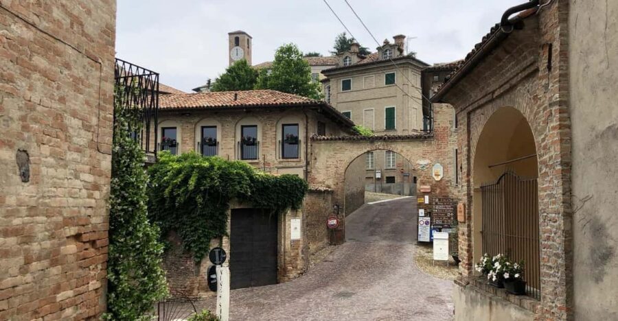 Neive: walking tour - Discover the "Donna Selvatica" Museum and Romano Levis Grappa