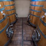 NEIVE: WINERY TOUR AND TASTING OF 5 WINES - The Tour of the Massimo Rivetti Winery and Historic Reserve