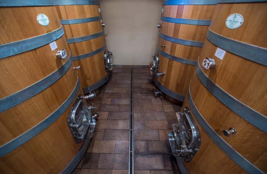 NEIVE: WINERY TOUR AND TASTING OF 5 WINES - The Tour of the Massimo Rivetti Winery and Historic Reserve