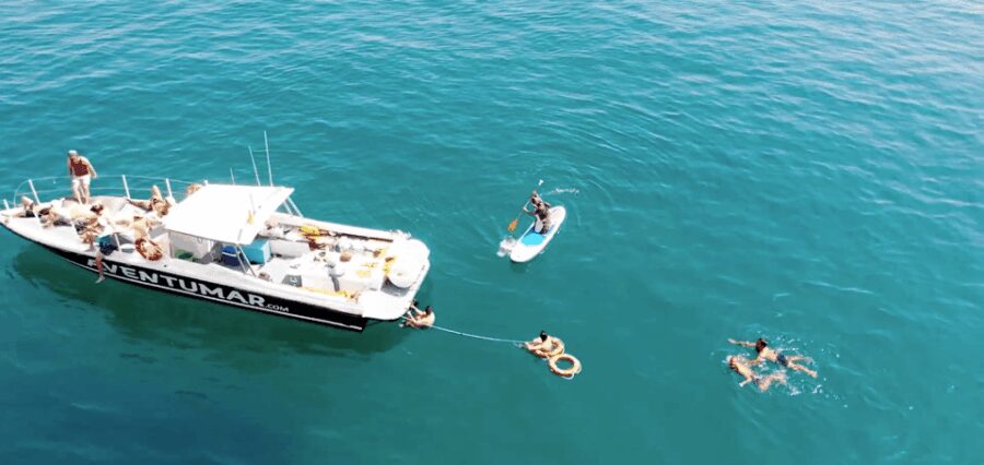 Nerja: Maro Waterfall Boat Trip with Paddleboarding & Drink - Key Points