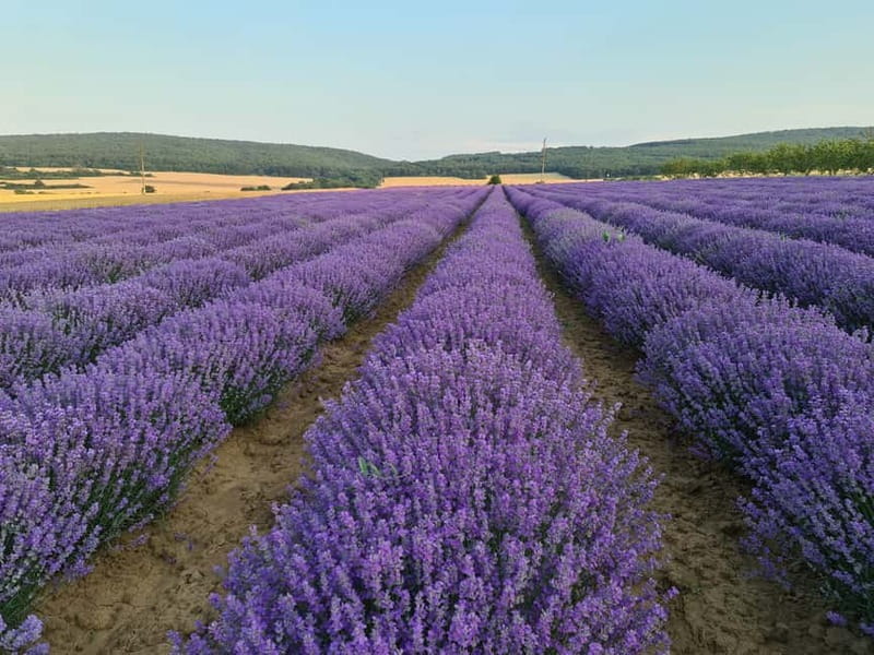 Nessebar: Old Town Photo Spots Mobile Map and Route - Pricing, Booking, and Cancellation Policies