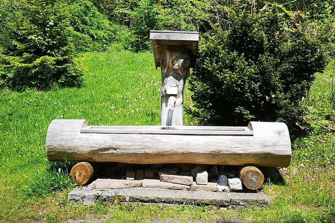 Neuschwanstein Castle by Bus Incl. Bike Ride or Hohenschwangau - Visiting Hohenschwangau Castle and Castle Tickets