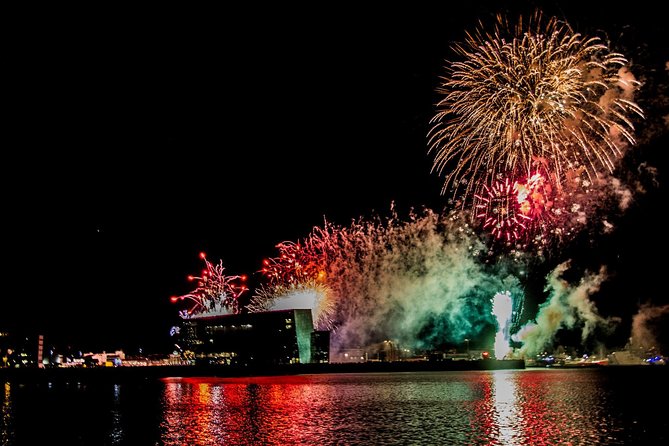New Year's Eve Fireworks Cruise in Reykjavik - What’s Included on the Cruise