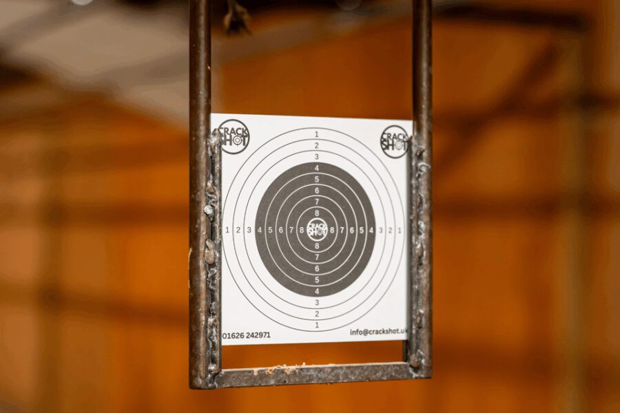 Newton Abbot: Rifle and Simulator Combo Package - Newton Abbots Shooting Ranges Offer a Dynamic Challenge