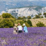 Nice: Gorges of Verdon and Fields of Lavender Tour - Discovering Castellane’s Charm
