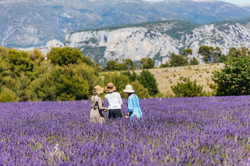 Nice: Gorges of Verdon and Fields of Lavender Tour - Discovering Castellane’s Charm