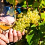 Nice: Provence Village Tour with Wine and Produce Tasting - Exploring Biot: Glassmaking and Artistic Heritage