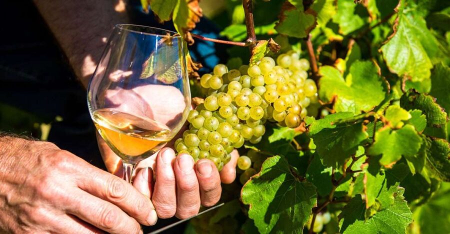 Nice: Provence Village Tour with Wine and Produce Tasting - Exploring Biot: Glassmaking and Artistic Heritage